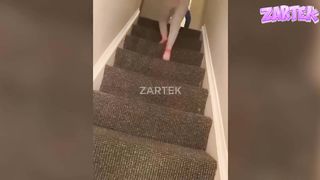 Si tu Rigoles 3 fois ,tu doit recommencer la video