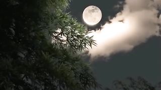 Moon therapy