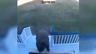 Video chistoso