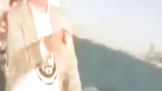 Mouette incroyable. La nourriture est arrachée à la bouche de l'homme pendant qu'il mord.