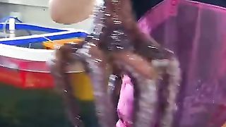 street food asmr food fish cutting korean food asian seafood sashimi making