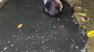 Differently fishing