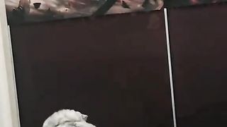 أوقعت التلفاز????????
