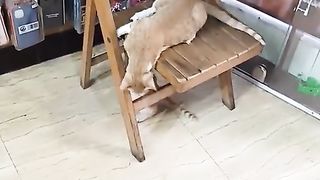 Let's play