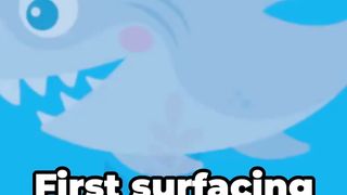 Baby Shark: A Bite-sized Adventure