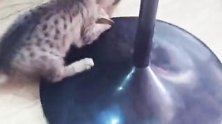 Let's play2
