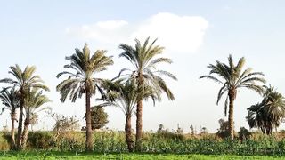 أقسم النبي من قالها دخل الجنة حتي وإن زنا وان سرق