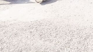 Duck finding it's way to go