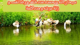 Noor e Mujassam 786||ALLAH apnay bandon k gumaan k pass hai