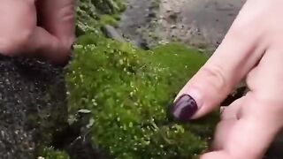 We often take things around us for granted. Watch till end.