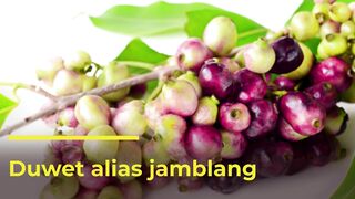 Fruit Duwet
