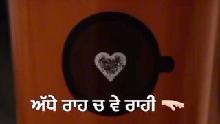 Punjabi status