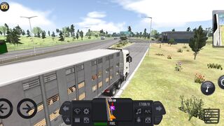 Lahore To Multan  Animals Supplies In TRUCK