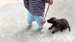 Faseeha Tv               Kid funny video ????