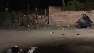 Funny video