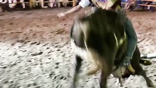 Man vs Bail