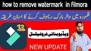 How to remove watermark in filmora12