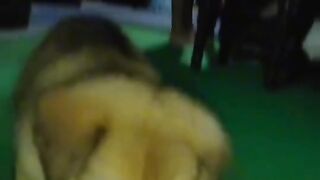 Viral scene tiktok video Best trick