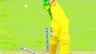 Best Boling S Shah Afridi