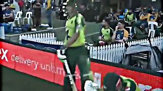 Pakistan vs new Zealand