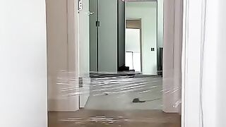 Cat Wall