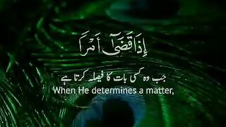 SURAH with Turjuma