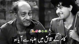 True Words Hindi-Urdu