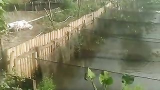 Yang ternak ikan lele DIJARING absen, apa keluhan kalian, tulis di kolom komentar