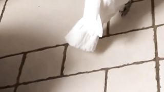 cutest cats and dogs in video 2024 ???????? funny videos ????????#funnyanimals