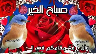 الطبيعة الخلابة