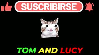 New Funny Videos 2024 ???? Cutest Cats and Dogs ????cats funny videos????
