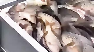 سبحان الله وبحمده سبحان الله العظيم