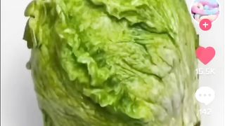 Funny video Real or cake