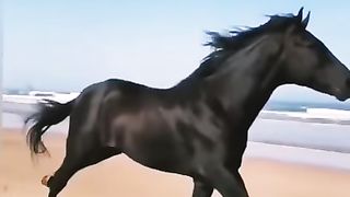 الـبعض يـكرهـك ليـس لأنـك سيـئ