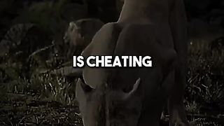 Temptation knocks, but loyalty answers.