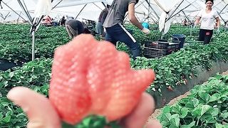 عمل في أروبا