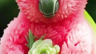 Very so cute videos#????# shots#funny #most# #???? so cute funny #most# #???? #d @3 #most# #????