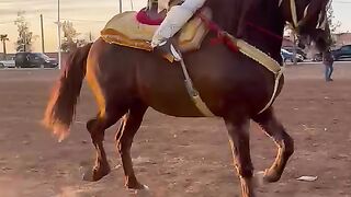 Héros morocco