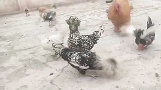 May kana kanay ja Rahi hon