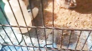 Feed them as soon as possible