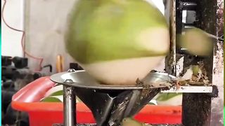 Cow Dung Cleaning Machine #Cleaning