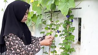 mulai bangun kebun kita sama-sama, tentu dengan pupuk organik cair andalan ak dari id