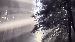 Правда жизни