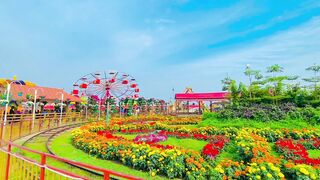 beautiful nature