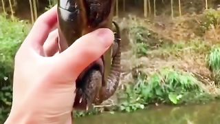 Strange shaped slings
