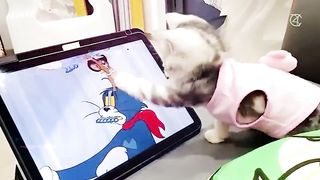 Animal fanny video