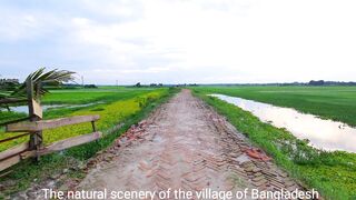 The beautiful village seen