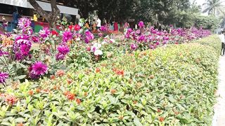 Nandan park