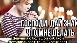 Девушка с большой собакой останавливает такси