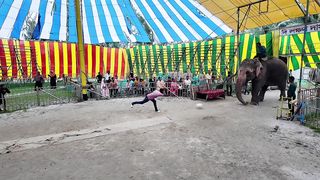 Playing the Bangla Cercus.